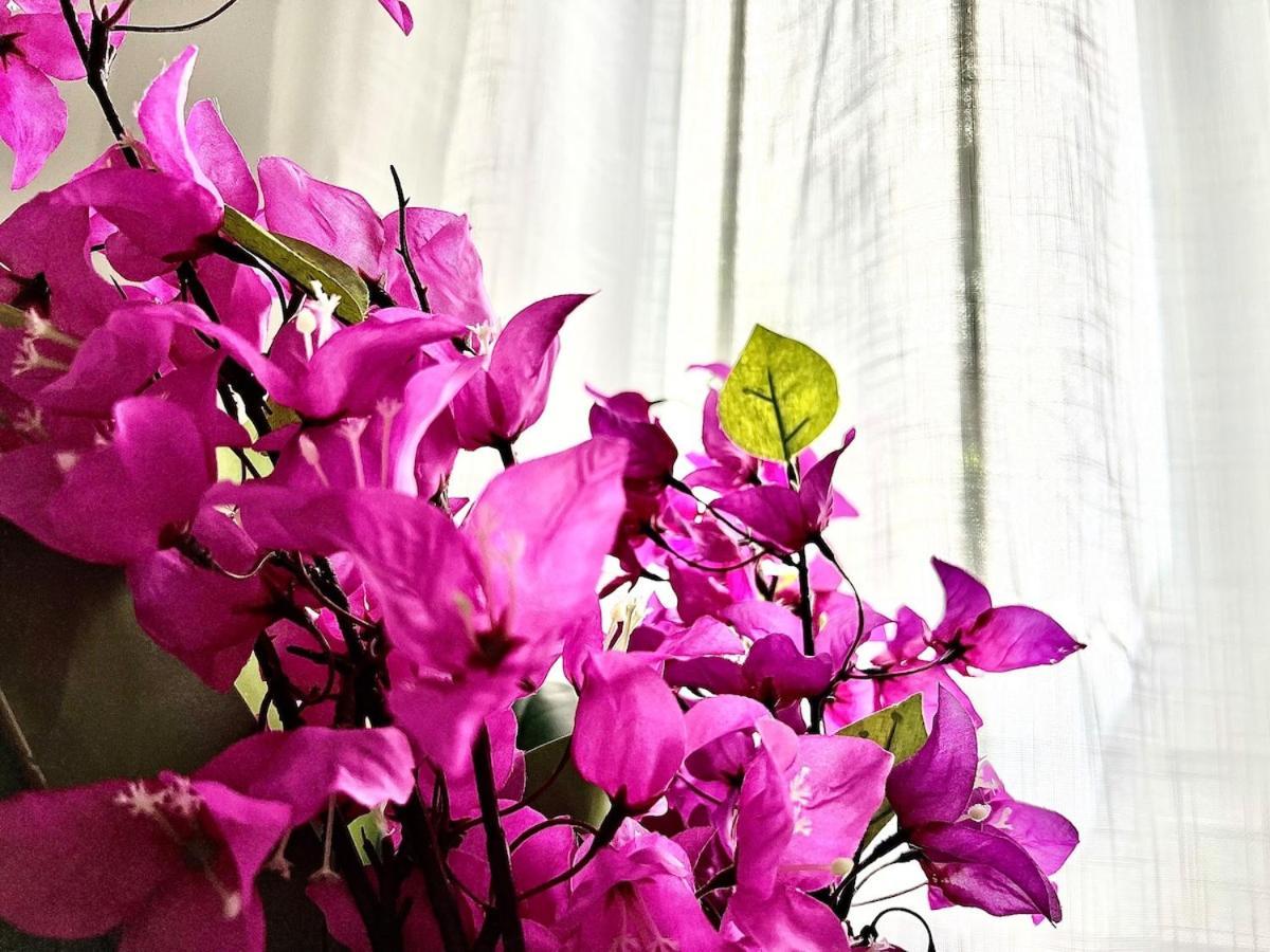 Apartament Avenzoar *