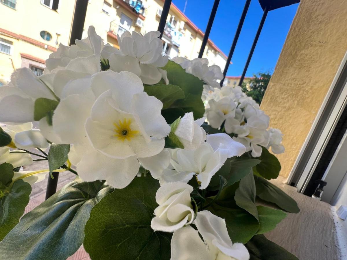 Avenzoar Apartament *